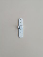 BEYAZ PANJUR MENTEŞESİ